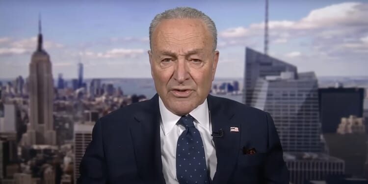 Chuck Schumer Says the Quiet Part Out Loud: 'We Did Put 235 Progressive Judges - on the Bench and They Are Ruling Against Trump Time After Time After Time' | The Gateway Pundit