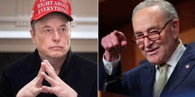 Elon Musk suggests Schumer is profiting off of government fraud