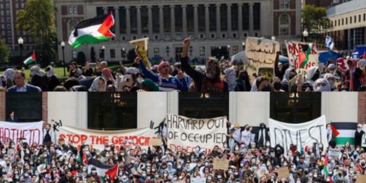 Harvard, Columbia Plunge in Law School Rankings Amid Anti-Semitism Backlash
