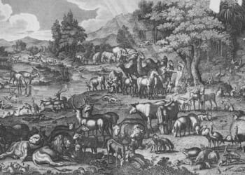 Dominion or Domination? – Catholic World Report