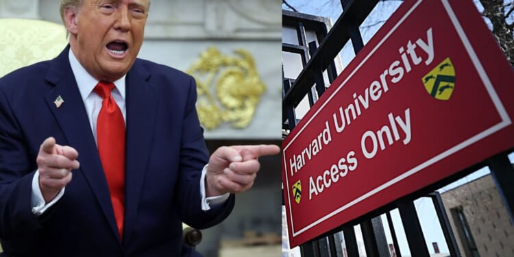 Trump admin asks IRS to rescind Harvard's tax-exempt status