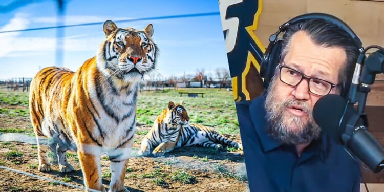 You won’t believe what happened to Joe Exotic’s tigers ...