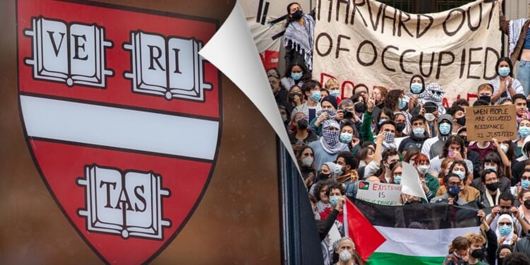Harvard students conspire to smear law firms critical of campus antisemitism: report
