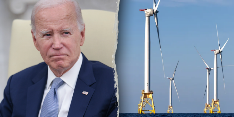 Biden green energy project halted by Trump admin relied on rushed, bad science, study finds