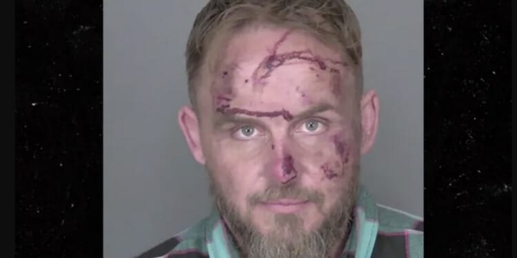 Police bodycam video shows Florida man offering cops alcohol during car chase that ends with suspect getting tased