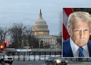 Here’s what happened during Trump’s 14th week in office