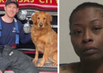 HORROR: Kansas City Firefighter-Paramedic Fatally Stabbed by Woman Inside Ambulance While Attempting to Help Her | The Gateway Pundit