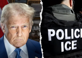 ICE breaks records of arrests, deportations during Trump's first 100 days