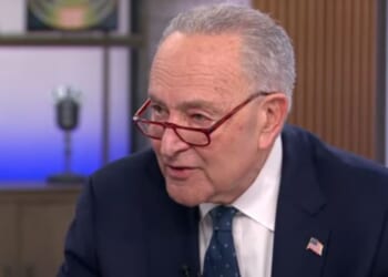 Democratic Sen. Chuck Schumer of New York found himself defending his record and explaining why he shouldn't be replaced.