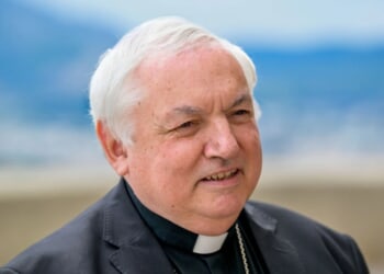 Cardinal Aveline elected president of French bishops’ conference – Catholic World Report