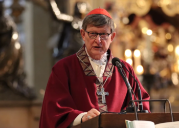 Cardinal Woelki expects longer papal conclave than swift election of Pope Francis – Catholic World Report