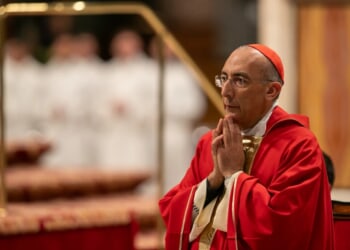Cardinal calls for continuation of Pope Francis’ reform path – Catholic World Report