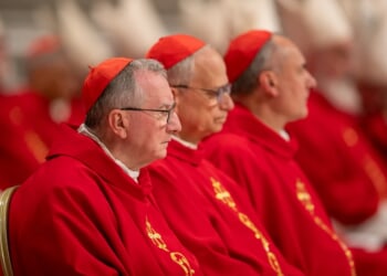 Cardinals hold sixth general congregation, confirm 2 electors will not be at conclave – Catholic World Report