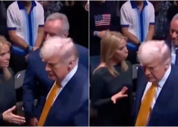 Did RFK Jr.'s Wife, Cheryl Hines, Get the Cold Shoulder from Trump at UFC 314? — Here’s What We Know | The Gateway Pundit