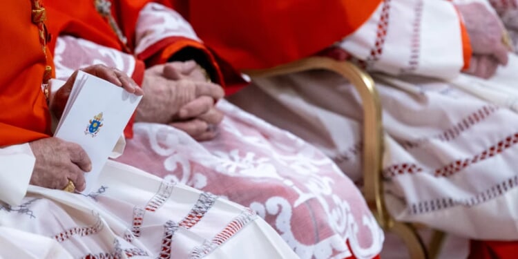 Meet the 5 youngest cardinals taking part in the conclave 