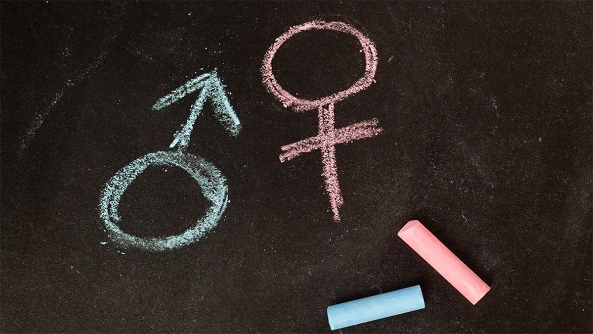 male and female symbols in blue and pink chalk