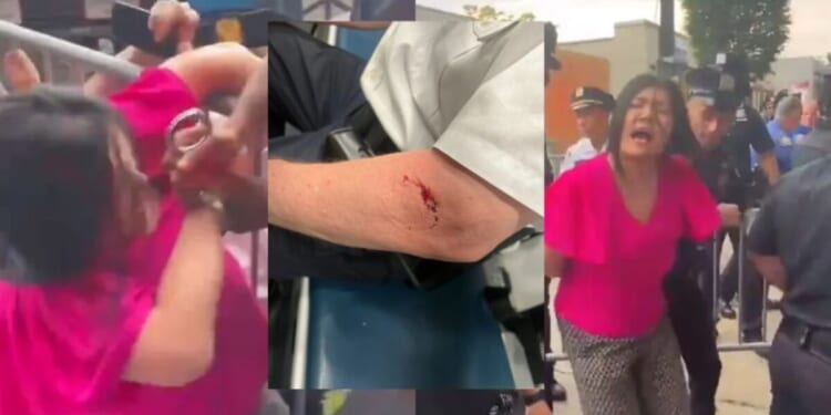 NYPD Chief Files Lawsuit Against NYC Councilwoman Who BIT HIM During Protest (VIDEO) | The Gateway Pundit