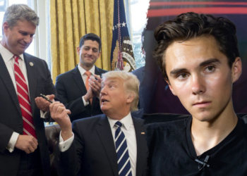 NRSC, DNC depict differing primary strategies with Hogg at the fore