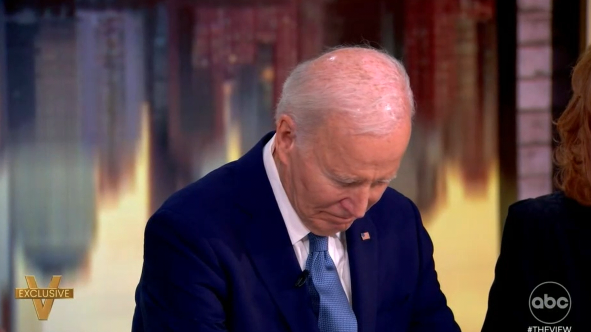 biden on the view