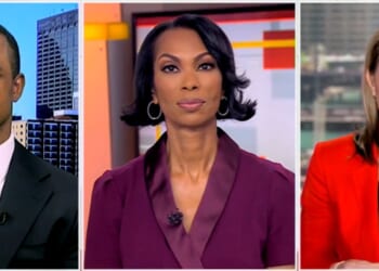Dem Guest Tells Harris Faulkner Party Doesn’t Know ‘How To Talk To Moderates’
