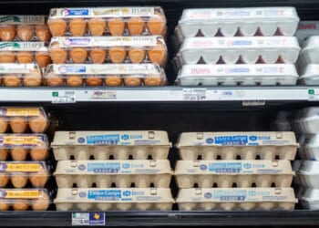Grocery Prices See Biggest Drop In 5 Years As Trump’s Policies Take Effect