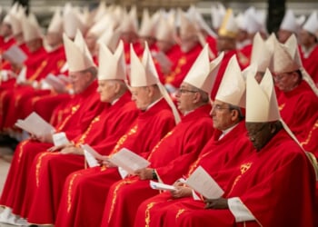 2025 conclave to be largest in Catholic Church’s history – Catholic World Report