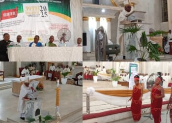 Catholic theologians in Nigeria pledge to uphold Pope Francis’ legacy with ‘renewed zeal’ – Catholic World Report