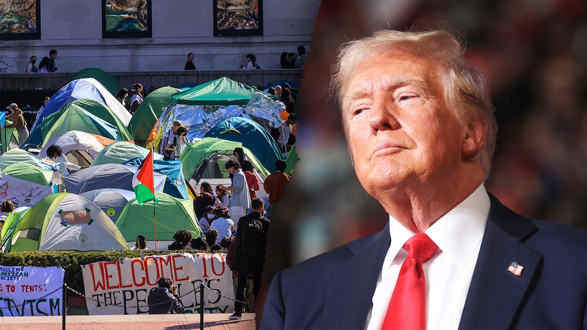 The Columbia University Gaza encampment shown next to a photo of Donald Trump