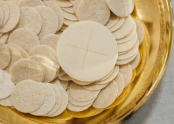 Curious Phenomenon: One Mom’s Story of a Personal Eucharistic Revival