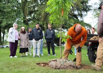 Holocaust remembrance center founded by Catholic nuns plants Anne Frank tree – Catholic World Report
