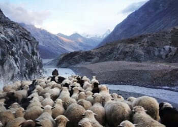Living In the Blood of the Lamb