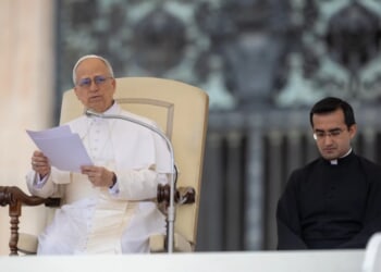 Pope Leo XIV appeals for end to hostilities in Gaza in first general audience