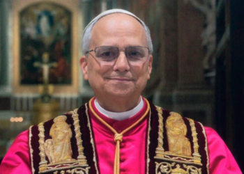 Pope Leo XIV embraces elements of Francis’ vision; some views still unclear – Catholic World Report
