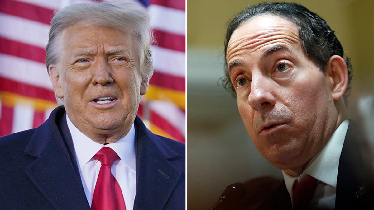 Jamie Raskin, Donald Trump split