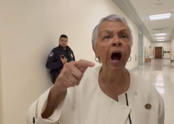 WATCH: "BULLSH*T, THAT IS A BUNCH OF CRAP" - Rep. Bonnie Coleman Denies Storming ICE Facility and Rep. McIver Assaulting Agents, Blames "White Supremacists" in Explosive Confrontation | The Gateway Pundit