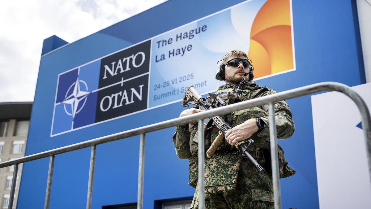 NATO soldier with weapon on guard