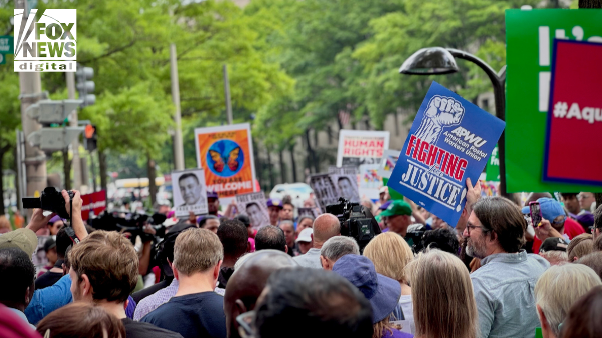 A large crowd of protesters gathers in Washington, D.C., holding colorful signs supporting immigrant rights, union solidarity, and human rights during a demonstration against President Trump’s immigration crackdown.