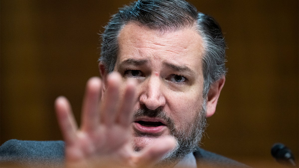 Sen. Ted Cruz, R-Texas, railed against Democrats for skipping a Senate hearing on former President Biden's health decline.