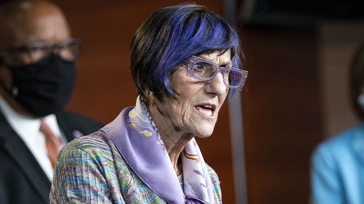 Representative Rosa DeLauro, a Democrat from Connecticut and former chairwoman of the House Appropriations Committee, speaks during a news conference