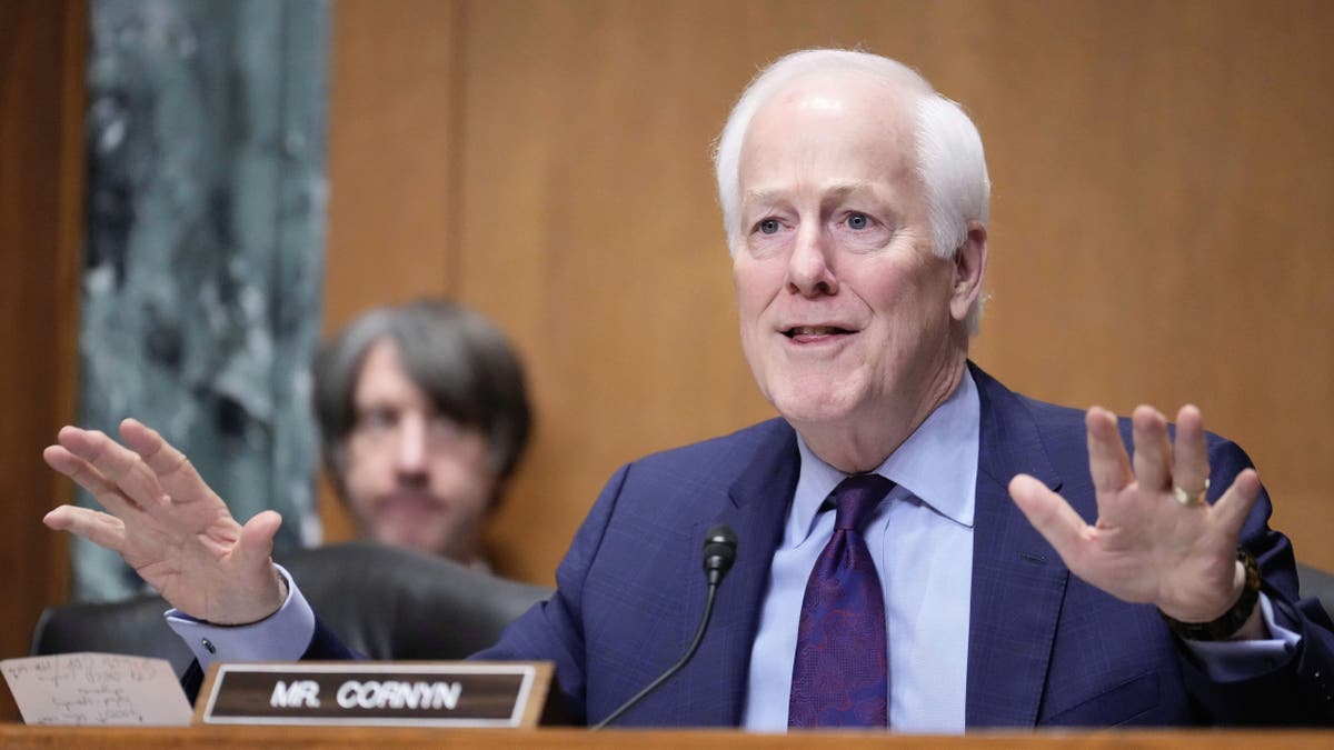 Sen. John Cornyn, R-Texas, seen at a Senate hearing on Capitol Hill in Washington, Friday, on March 14, 2025, is running for re-election next year. (AP Photo/Ben Curtis)