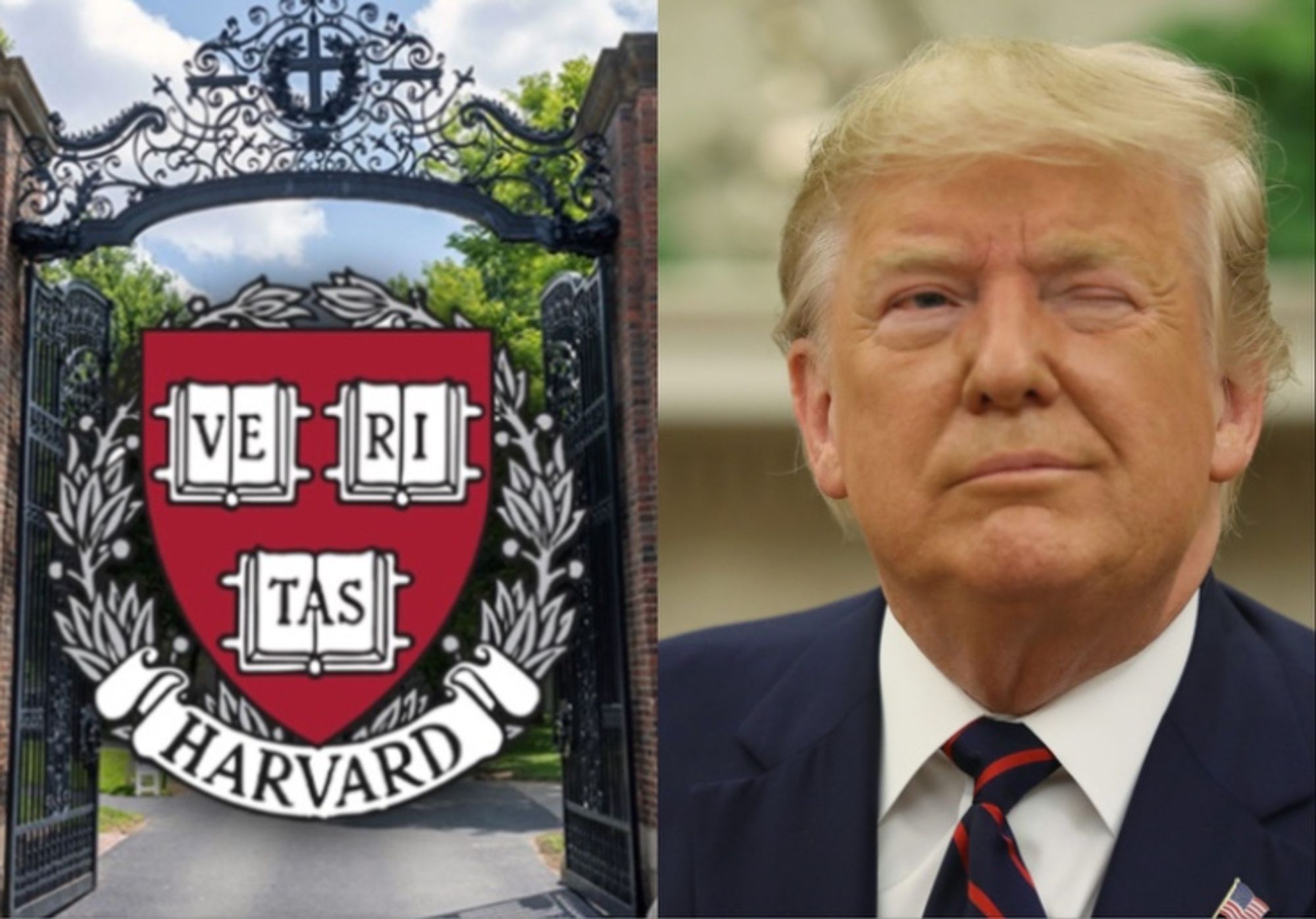 Harvard Weighs $1 Billion Conservative Scholarship Center: Report