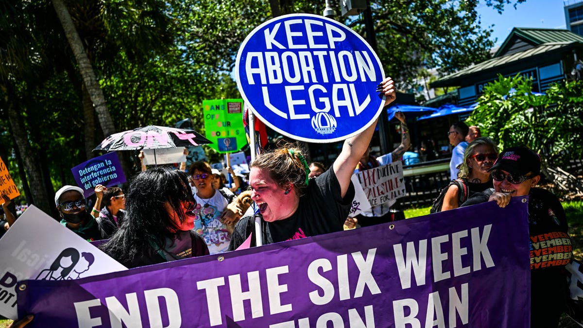 Pro-abortion rights protesters