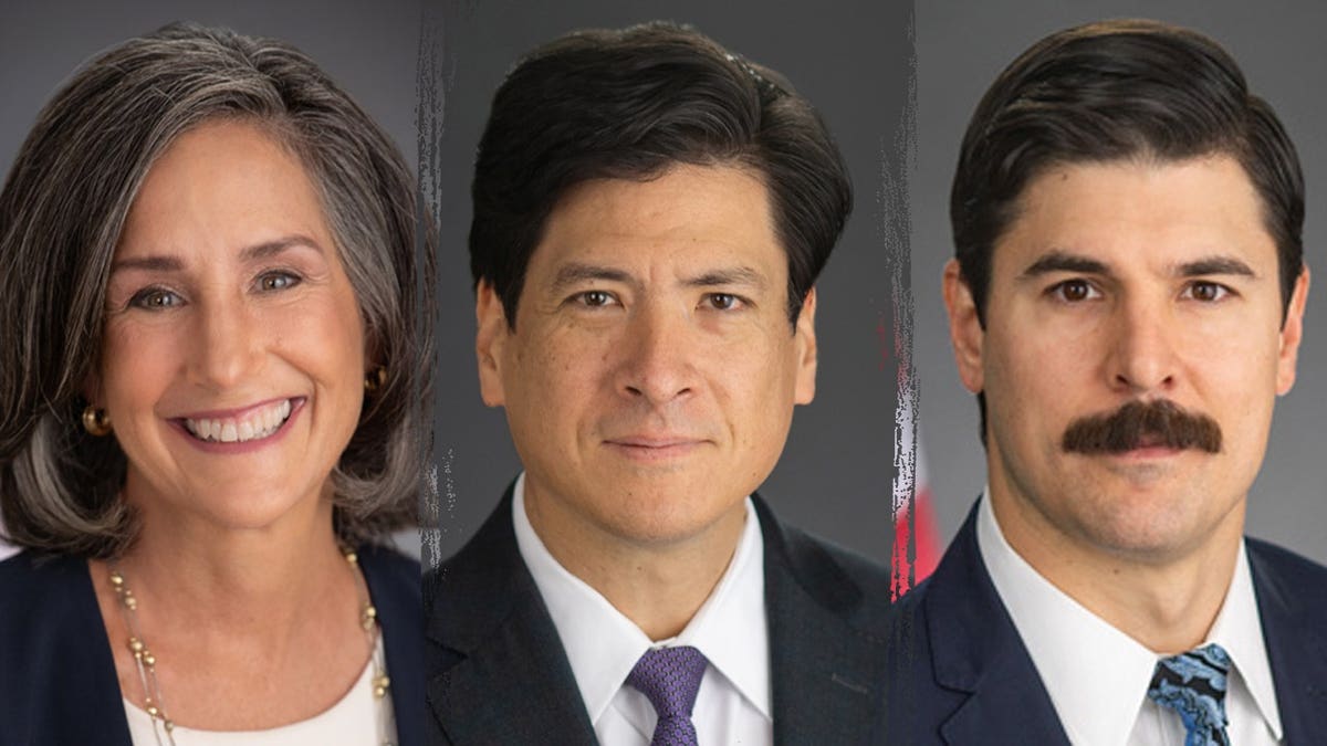 CPSC board members Mary Boyle, Alexander Hoehn-Saric, and Richard Trumka Jr. are seen in this three-way split image. Photos via AP News/Getty Images
