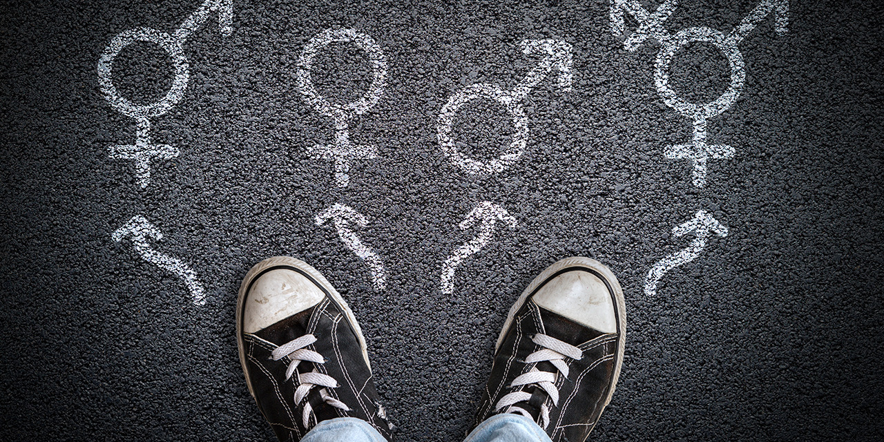 A Middle Ground in Pediatric Gender Medicine?