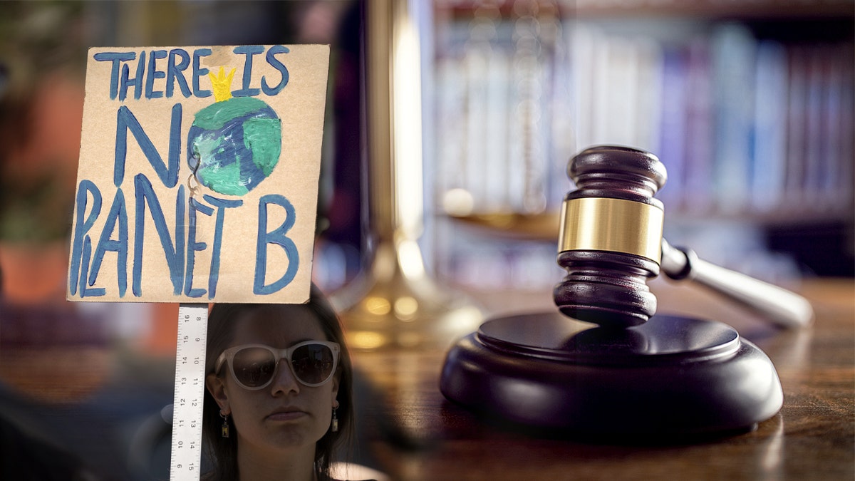 protest sign; gavel photo mashup