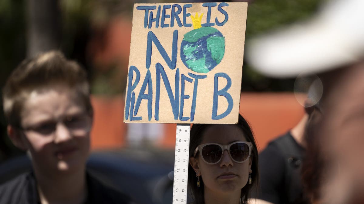 Protester holds sign that reads, "There is no planet B."