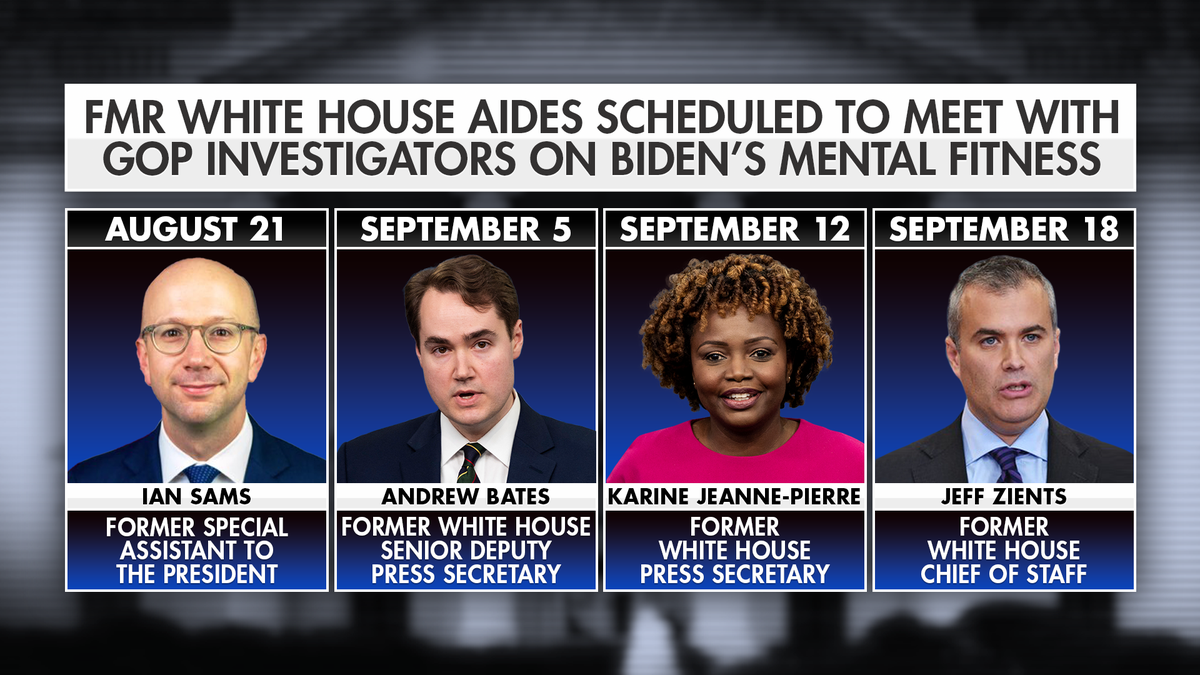 Former Biden aides