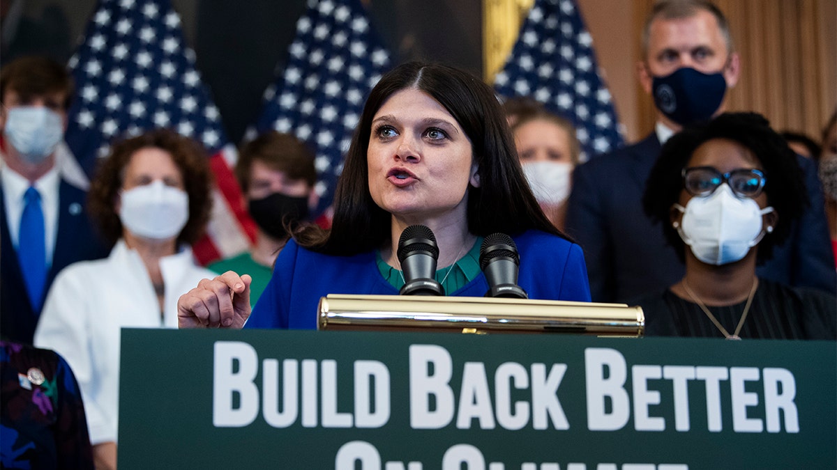 Haley Stevens speaks at a rally.