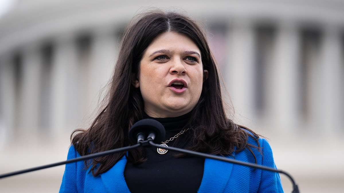 Rep. Haley Stevens is running for the U.S. Senate.