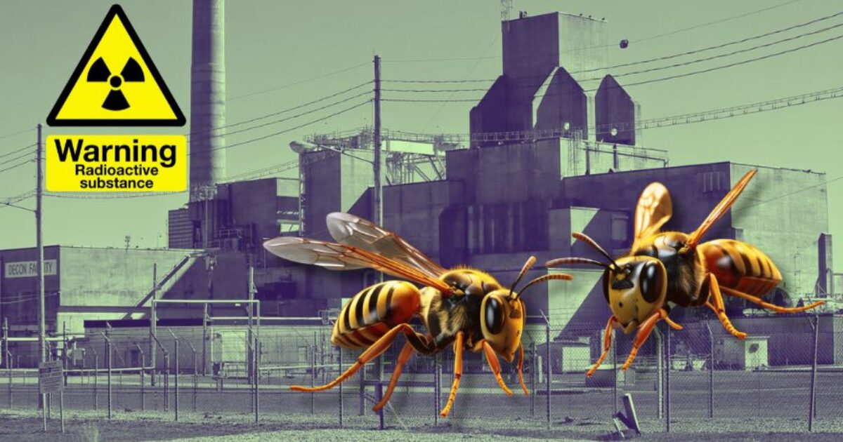 Radioactive Wasp Nest Discovered Near South Carolina Nuclear Weapon Facility | The Gateway Pundit